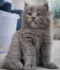 12-Weeks