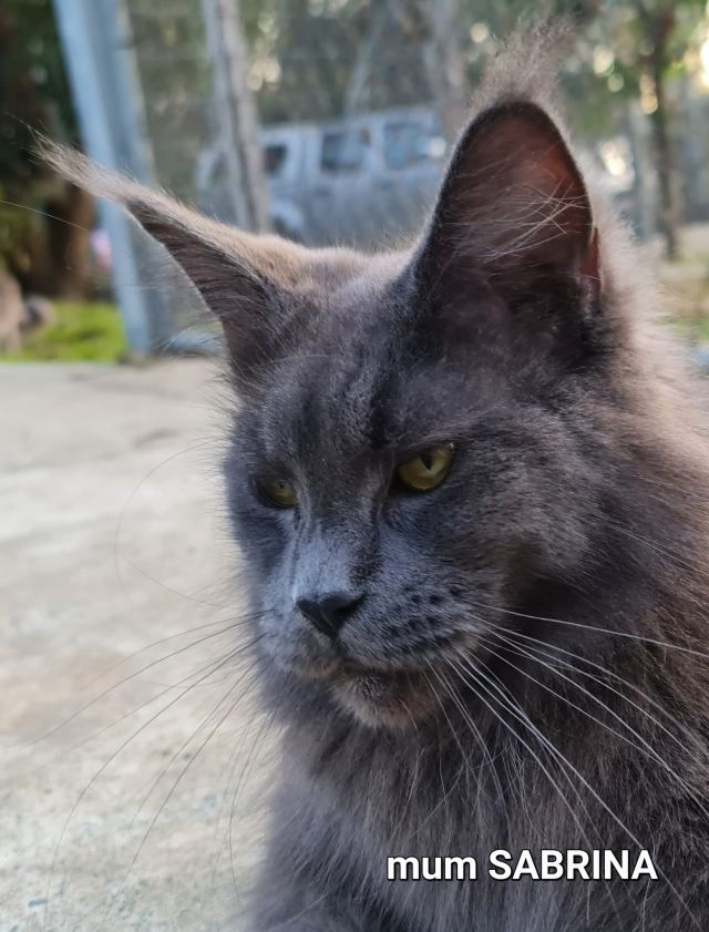 sabrina-02