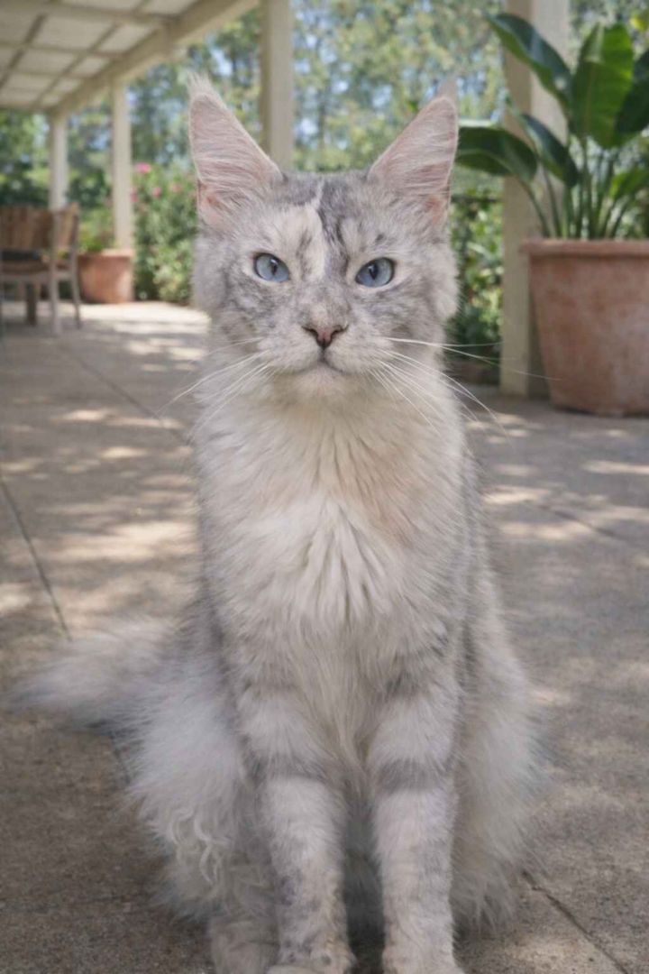 Chloe