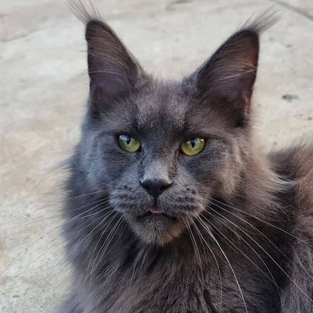 Sabrina