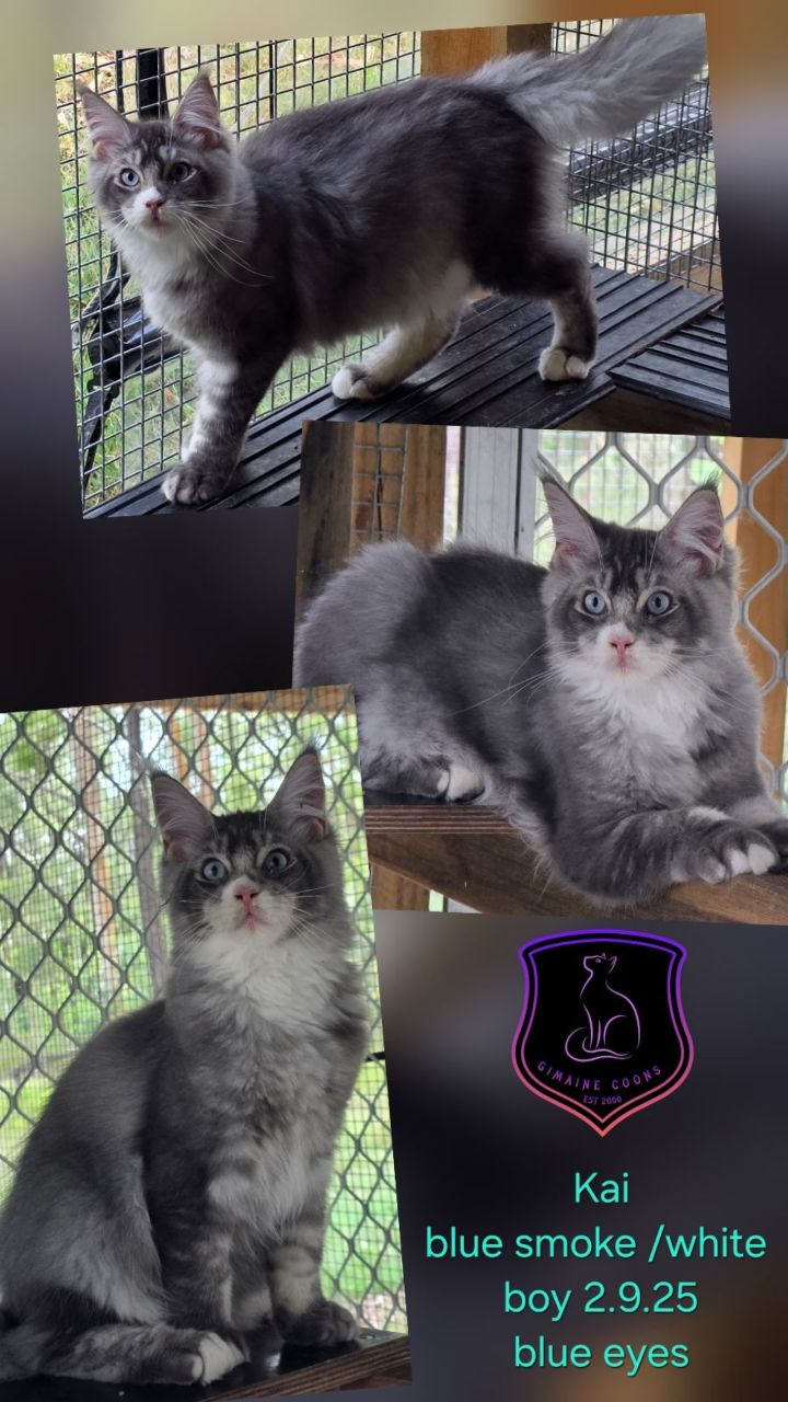 Kai - Blue Smoke / White Boy