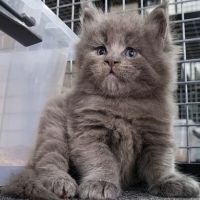 Common Buyer Questions Before You Enquire (and the Answers That Matter)