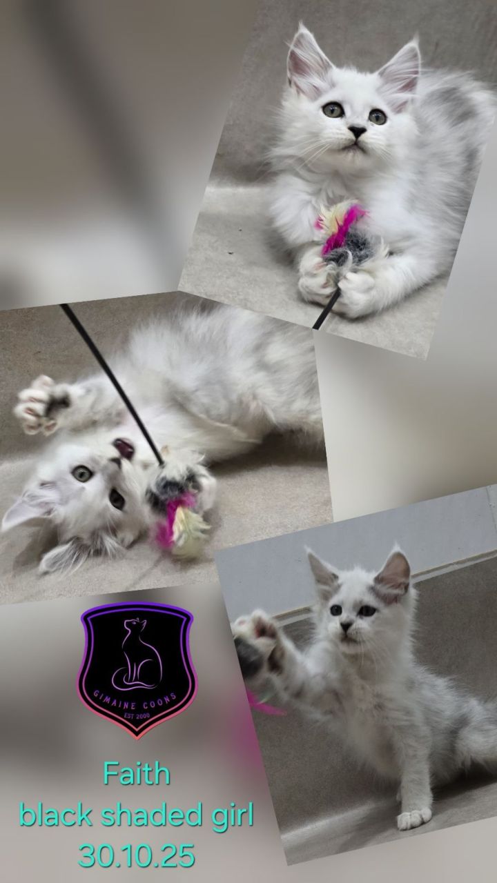 Faith - Black Shaded Girl