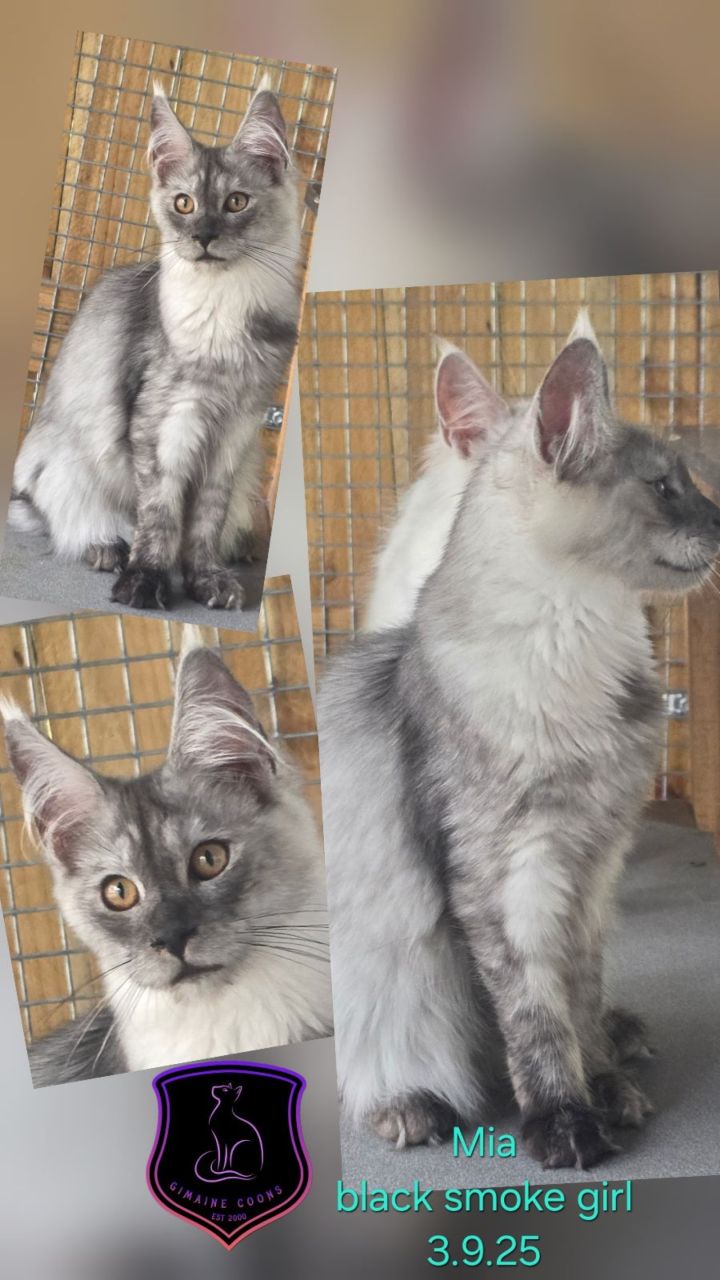 Mia - Black Smoke Girl