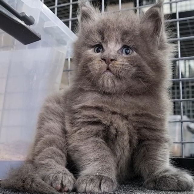 Common Buyer Questions Before You Enquire (and the Answers That Matter)