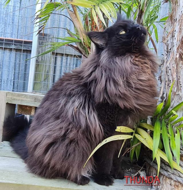 481014227_1826131981468661_7794445994082623039_n